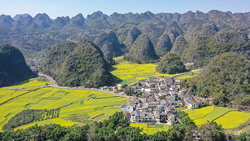 2024年2月17日，貴州省興義市萬(wàn)峰林景區(qū)的油菜花海景色（無(wú)人機(jī)照片）。