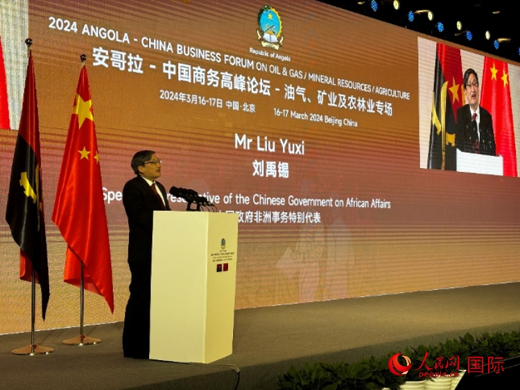 中國政府非洲事務(wù)特別代表劉禹錫。人民網(wǎng)記者 張榮攝