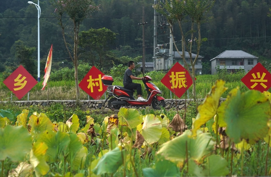 2023年8月24日拍攝的江西省靖安縣璪都鎮(zhèn)港背村一景。該村在當(dāng)?shù)卣С窒?，修古建，建民宿，搞開發(fā)，引進竹筏漂流、觀光采摘、農(nóng)耕體驗、森林研學(xué)等多種旅游業(yè)態(tài)，建成新田園生態(tài)度假小鎮(zhèn)，發(fā)展鄉(xiāng)村旅游，走上致富路。