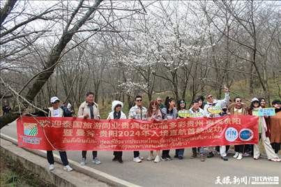 首個(gè)泰國入境旅游團(tuán)打卡貴安櫻花園。