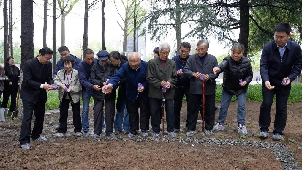 南京大屠殺幸存者代表、死難者遺屬代表等在紀念館的和平公園里，播撒下紫金草的種子。新華社記者林凱 攝