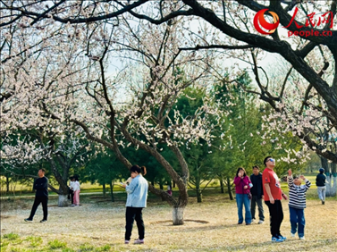 游客在北京長陽公園賞花。人民網(wǎng)記者 劉微攝