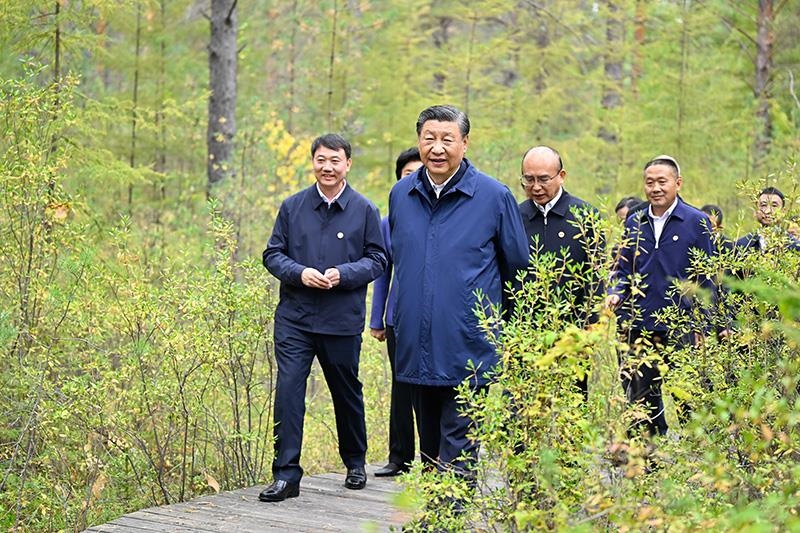 △2023年9月6日，習(xí)近平總書(shū)記在大興安嶺地區(qū)漠河市漠河林場(chǎng)自然林區(qū)考察。