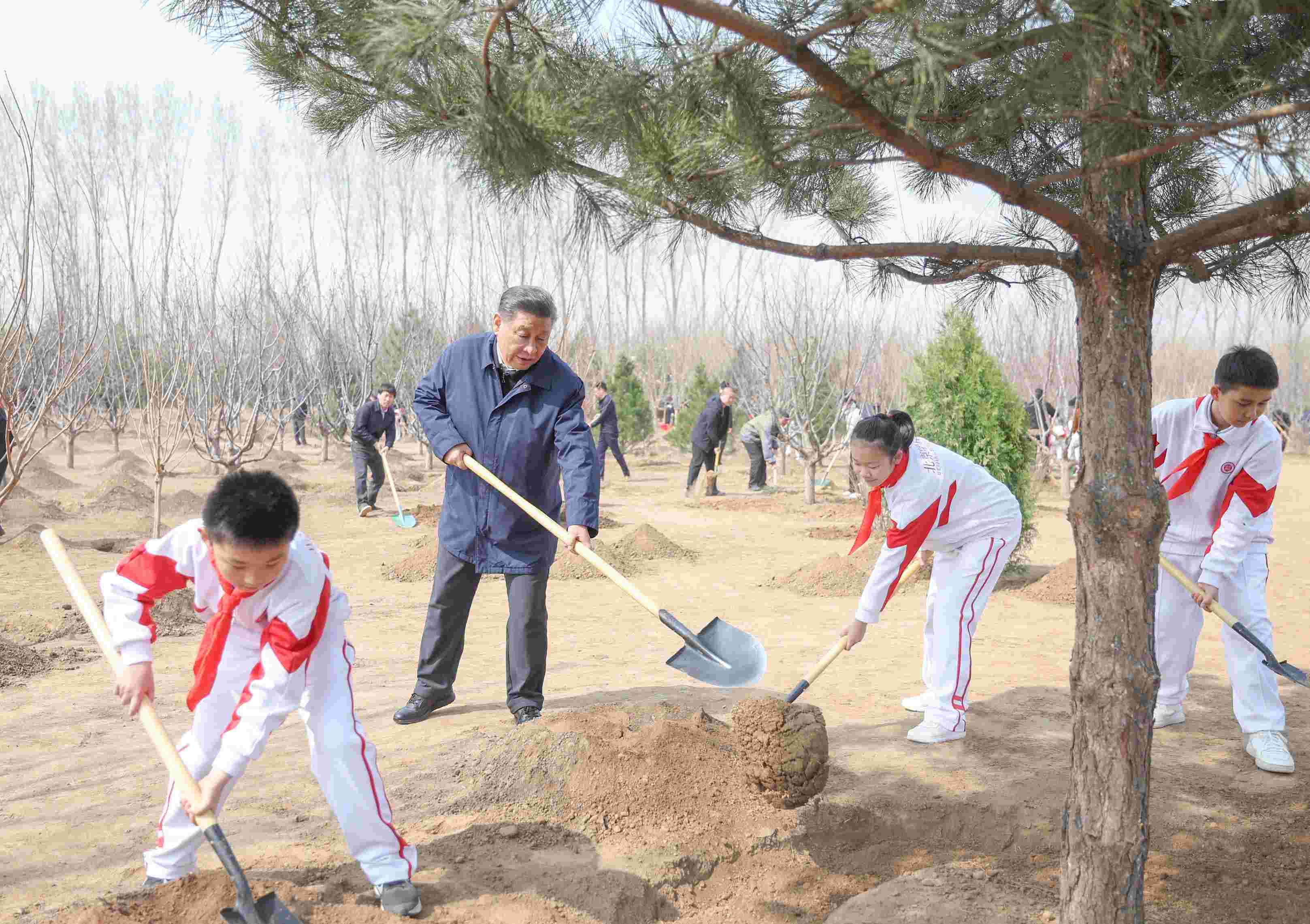 2024年4月3日，習(xí)近平總書(shū)記來(lái)到北京市通州區(qū)潞城鎮(zhèn)參加首都義務(wù)植樹(shù)活動(dòng)。