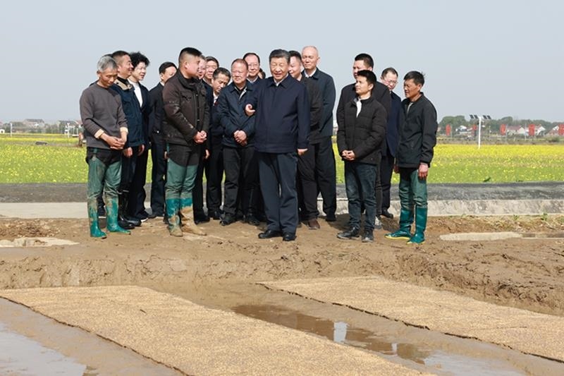△2024年3月19日，在湖南常德市鼎城區(qū)謝家鋪鎮(zhèn)港中坪村，習(xí)近平總書記走進(jìn)田間，察看秧苗培育和春耕備耕進(jìn)展。