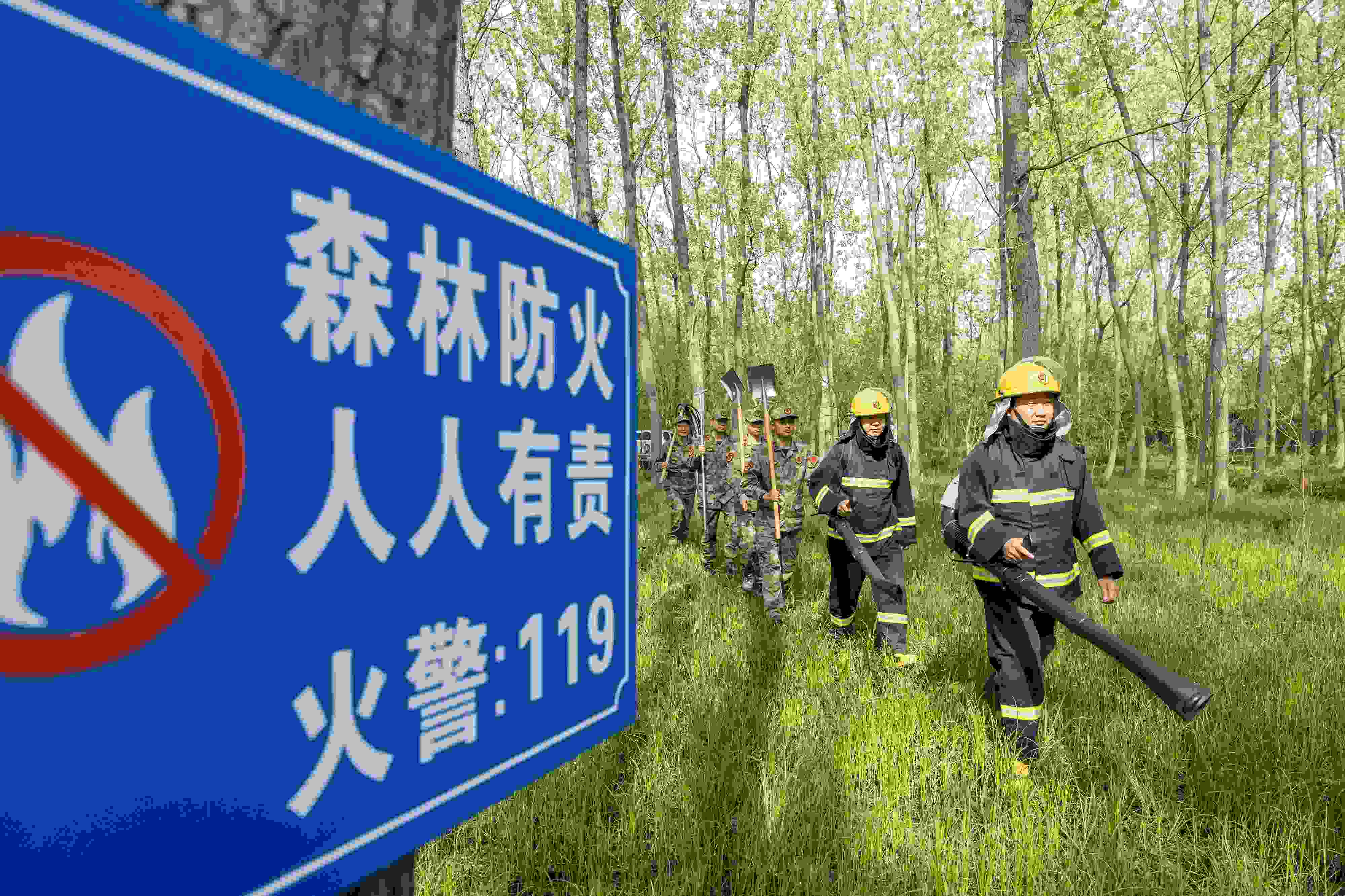 2024年4月9日，合肥市大房郢水庫水源保護地廬陽經(jīng)濟開發(fā)區(qū)段，基干民兵正在林間巡查火災隱患。