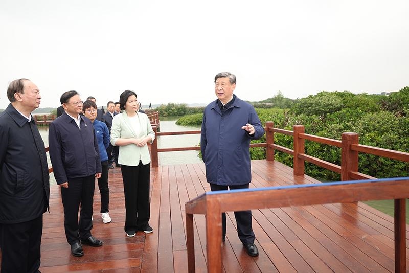 △2023年4月10日，習(xí)近平總書記在廣東湛江市麻章區(qū)湖光鎮(zhèn)金牛島紅樹林片區(qū)考察。
