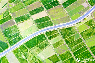 無(wú)人機(jī)視角下的西藏山南市瓊結(jié)農(nóng)田。人民網(wǎng)記者 次仁羅布攝