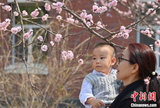 4月21日，游客在吉林大學南嶺校區(qū)賞花。張瑤 攝