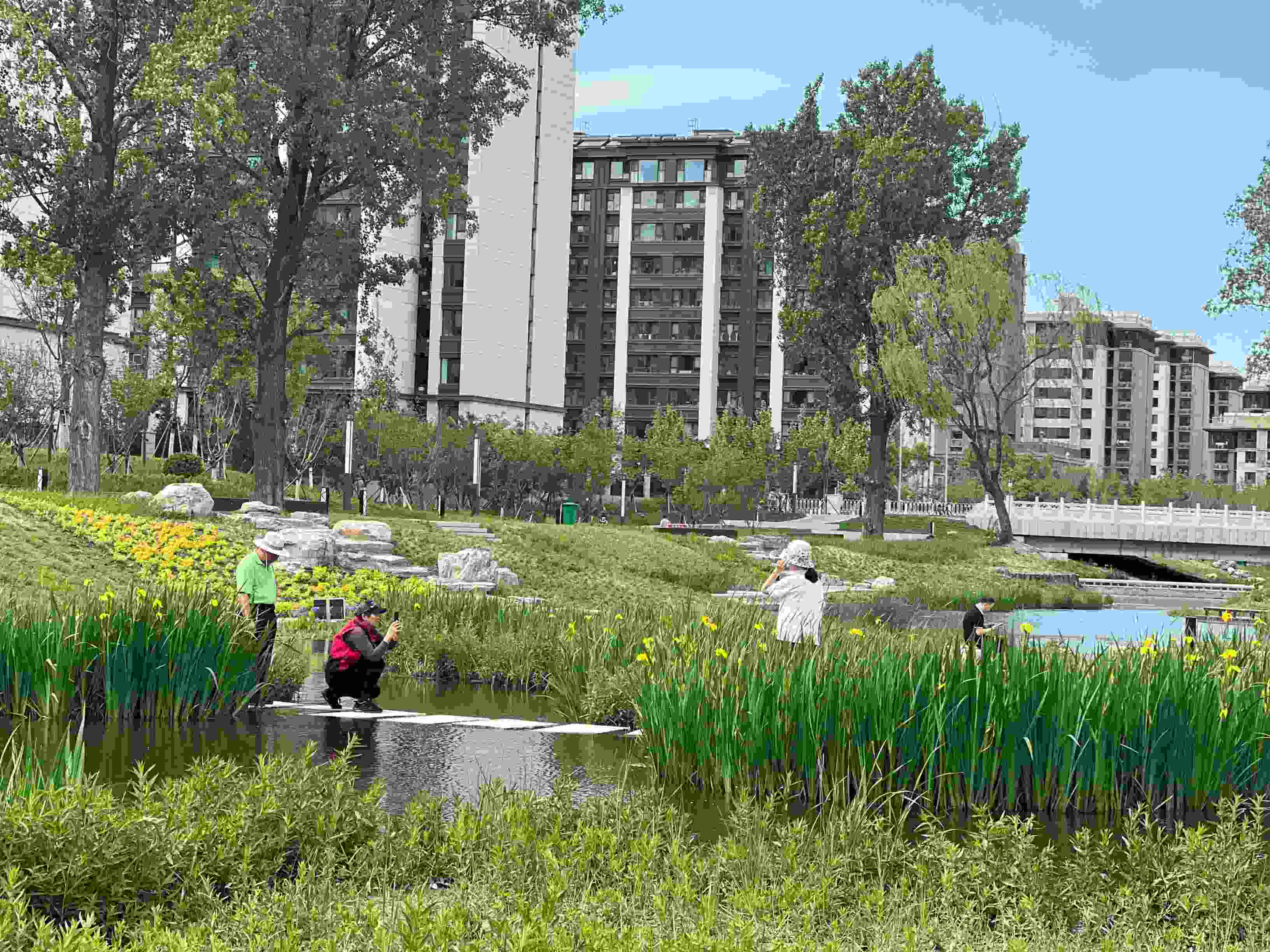 五一渠生態(tài)濱河公園內(nèi)，市民正在拍照留念。人民網(wǎng) 歐陽易佳攝