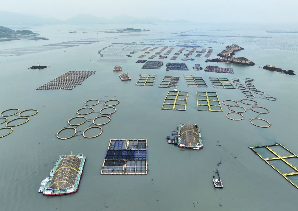 在福建連江定海灣海域，坐落著“定海灣1號(hào)”“定海灣2號(hào)”等深遠(yuǎn)海養(yǎng)殖平臺(tái)（2024年5月7日攝，無(wú)人機(jī)照片）。新華社記者 林善傳 攝