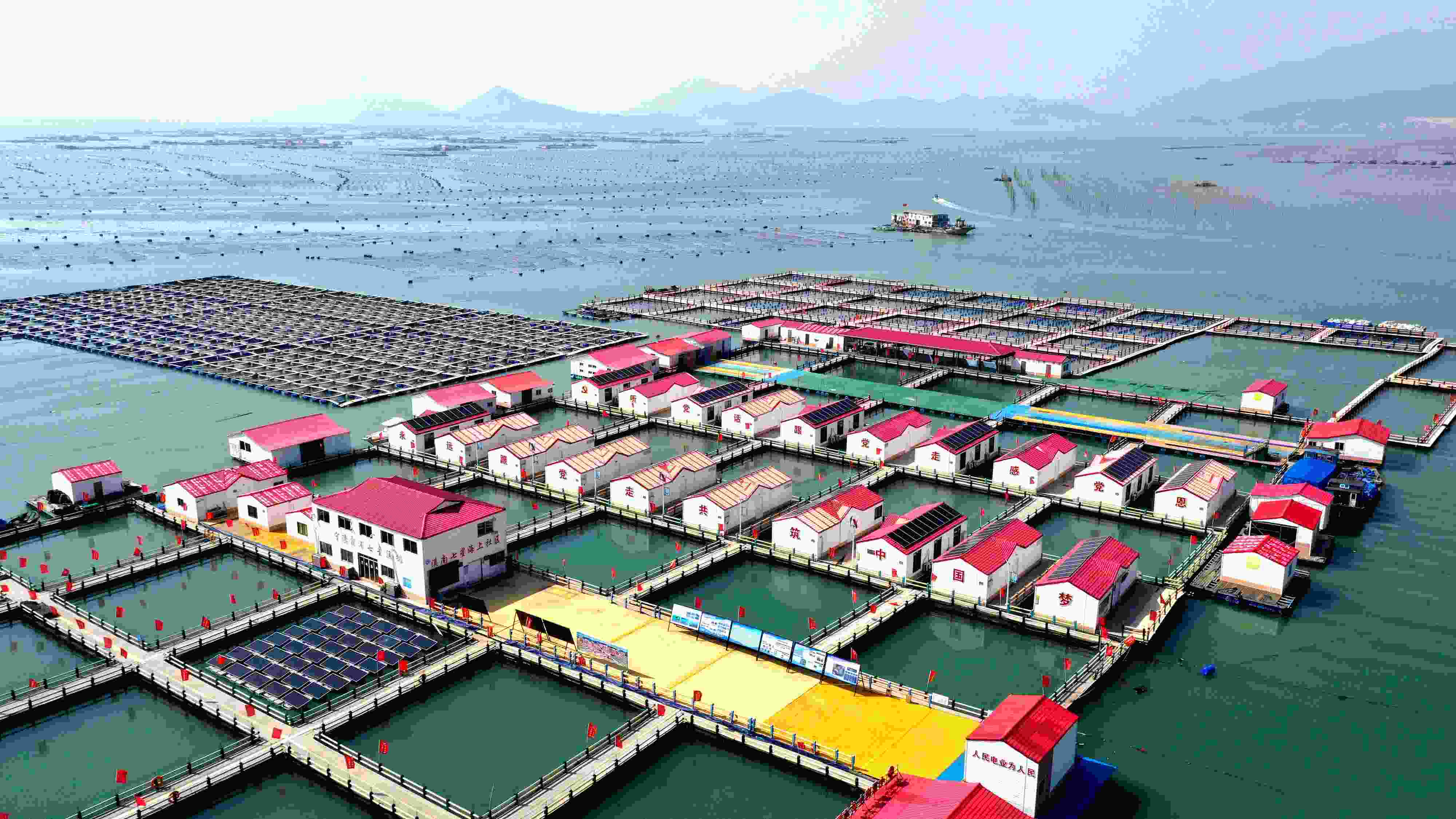 2024年3月20日，福建省寧德市，霞浦縣溪南鎮(zhèn)七星村漁排養(yǎng)殖示范區(qū)，漁民駕駛養(yǎng)殖船進(jìn)行海參養(yǎng)殖作業(yè)。