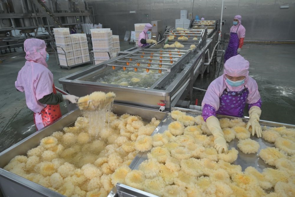 2024年5月10日，在福建省寧德市古田縣，一家食品公司的工作人員在挑選清洗銀耳。新華社記者 林善傳 攝