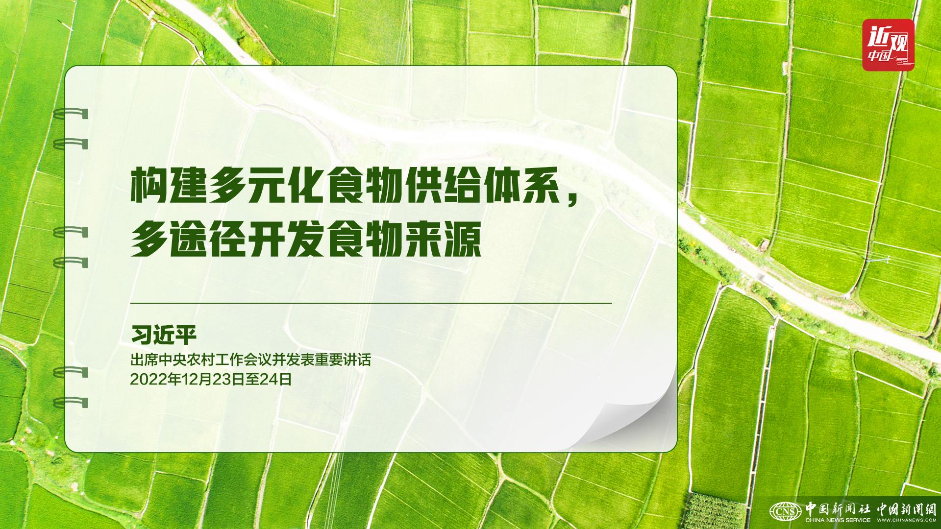 習(xí)近平：樹立大食物觀，構(gòu)建多元化食物供給體系