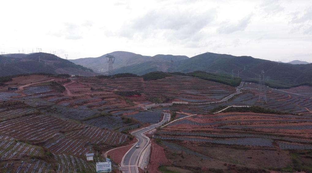 火普村的藍(lán)莓基地一角（無人機(jī)照片）。新華社記者 尹恒 攝