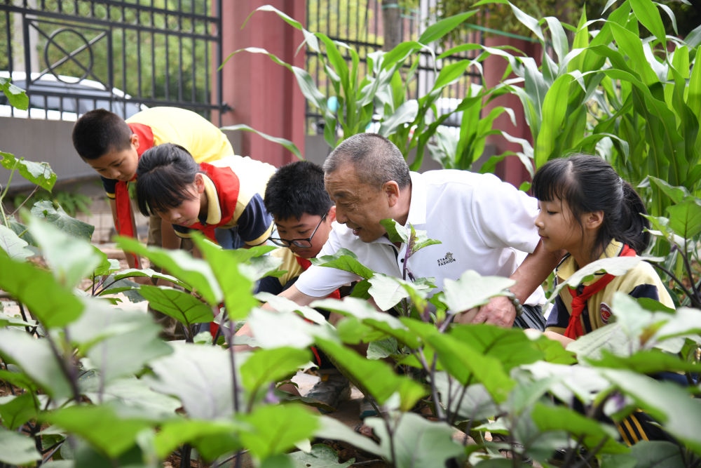 5月31日，老師帶領(lǐng)學(xué)生在之江小學(xué)勞動(dòng)實(shí)踐基地學(xué)習(xí)蔬菜知識(shí)。新華社記者 胥冰潔 攝