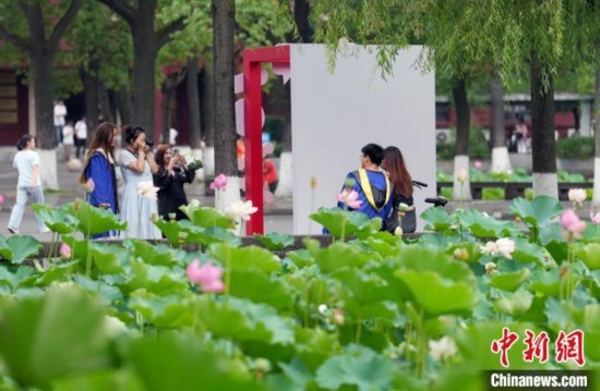 6月19日，時值一年畢業(yè)季，四川大學(xué)望江校區(qū)荷花池里的荷花盛開，成為了畢業(yè)生們的打卡圣地，吸引了眾多畢業(yè)生拍照留念。圖為畢業(yè)生在荷花池邊拍照留念。中新社記者 安源 攝