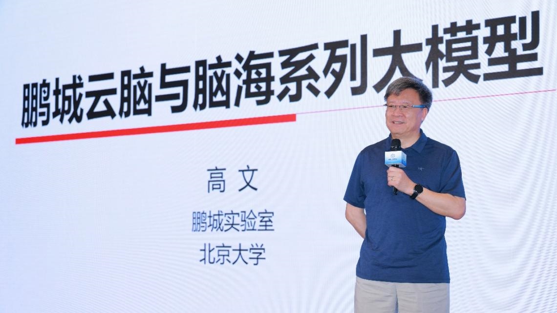 高文院士做大會(huì)特邀報(bào)告。主辦方供圖
