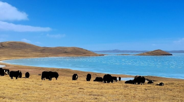 在三江源國家公園黃河源園區(qū)拍攝的扎陵湖風光（2022年3月12日攝）。新華社記者 呂雪莉 攝