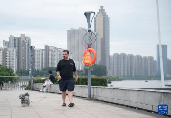 7月20日，在安徽蕪湖市，馬丁在長(zhǎng)江邊遛狗。新華社記者 傅天 攝