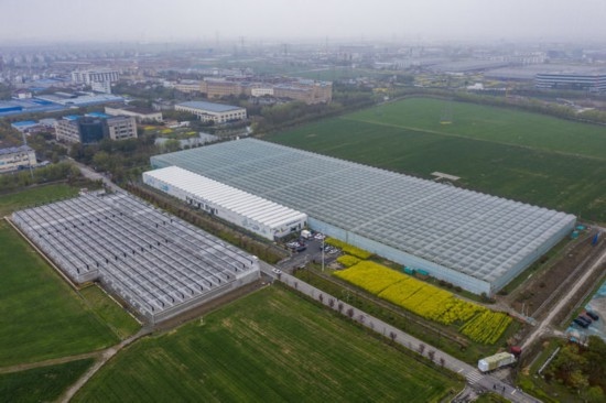 2024年3月28日，空中俯瞰嘉興南湖區(qū)湘家蕩農(nóng)業(yè)數(shù)字化工廠（無人機照片）。該農(nóng)業(yè)數(shù)字化工廠占地總面積約62畝，包含智慧農(nóng)業(yè)生產(chǎn)、物聯(lián)網(wǎng)智能管理、自動分揀包裝、保鮮儲藏物流、高科技示范展示等五大功能區(qū)，可直接或間接培養(yǎng)帶動新型職業(yè)技術(shù)農(nóng)民500人以上。新華社記者 徐昱 攝