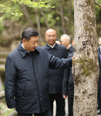 2020年4月，習(xí)近平總書記來到位于商洛市柞水縣的秦嶺牛背梁國家級(jí)自然保護(hù)區(qū)，考察秦嶺生態(tài)保護(hù)情況。新華社記者 鞠鵬 攝