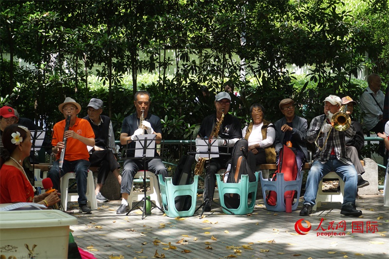 成都居民在公園里演奏歌曲。人民網(wǎng) 王禹蘅攝