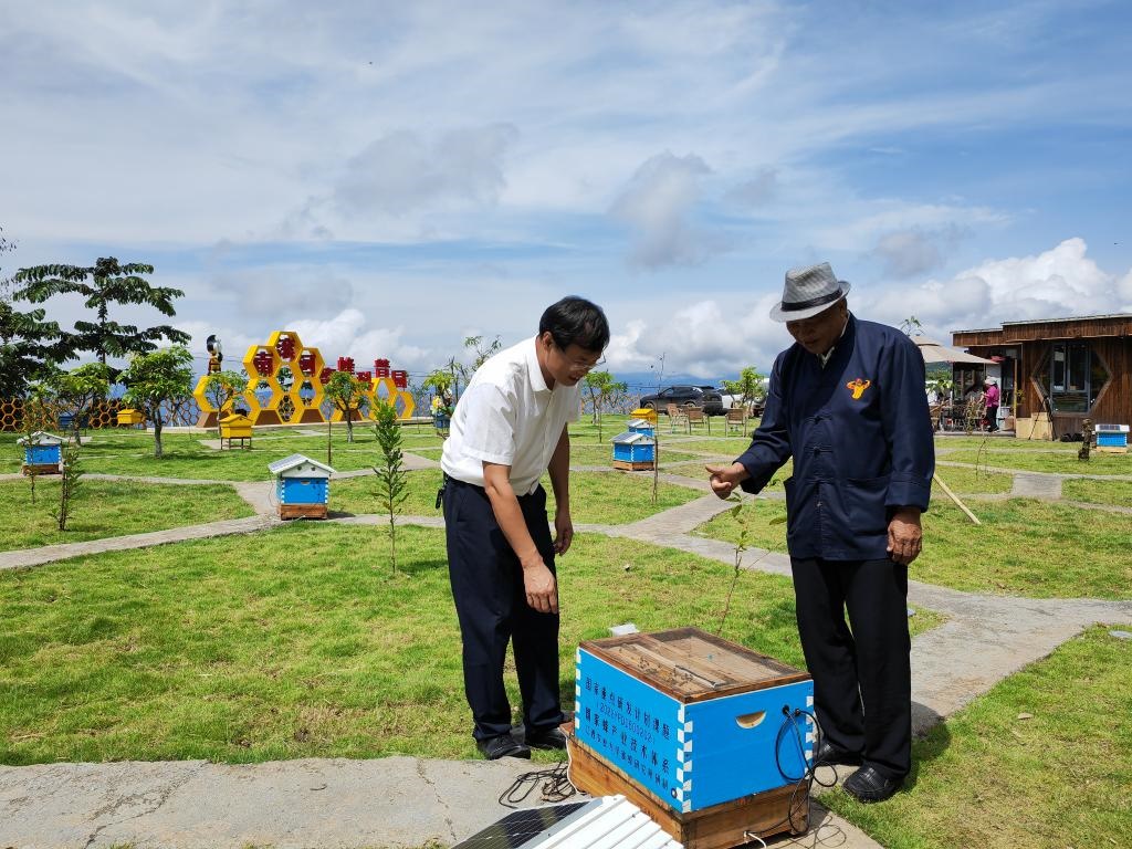8月17日，中國農(nóng)業(yè)科學(xué)院蜜蜂研究所研究員黃家興（左）向巖翁介紹智能化蜜蜂飼養(yǎng)蜂箱。新華社記者吉哲鵬 攝