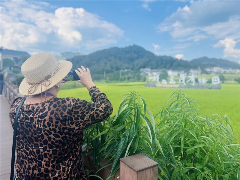 “我在花茂有塊田”，不僅是中國人的詩和遠(yuǎn)方，也是塔吉克斯坦“阿維斯塔”通訊社總編輯占納特洪·庫爾班諾娃的“烏托邦”。（張亞欣攝）