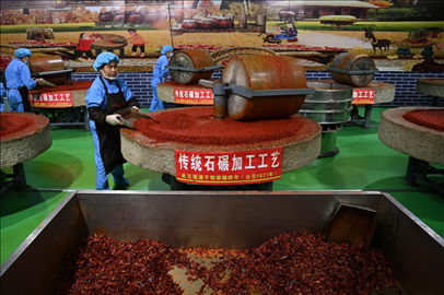 工人用電動石碾加工辣椒面。新華社記者 范培珅 攝