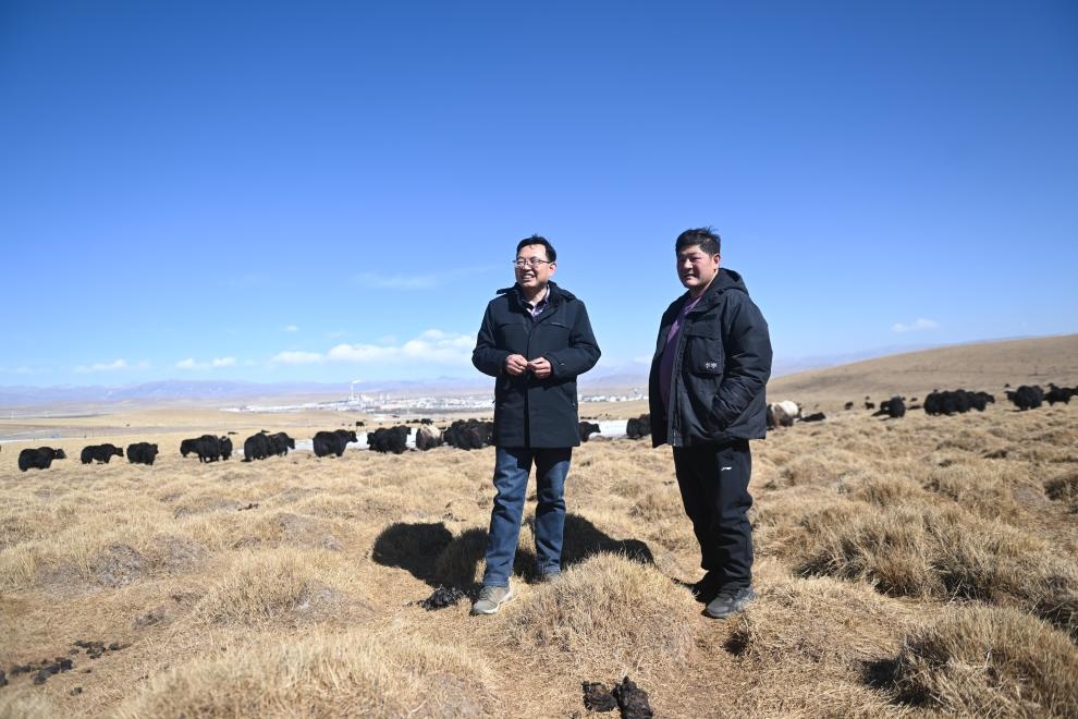 2023年2月24日，在青海省海北藏族自治州海晏縣青海湖鄉(xiāng)達(dá)玉日秀村，全國人大代表董全民（左）查看牧民東知布家的草場。新華社記者 張龍 攝