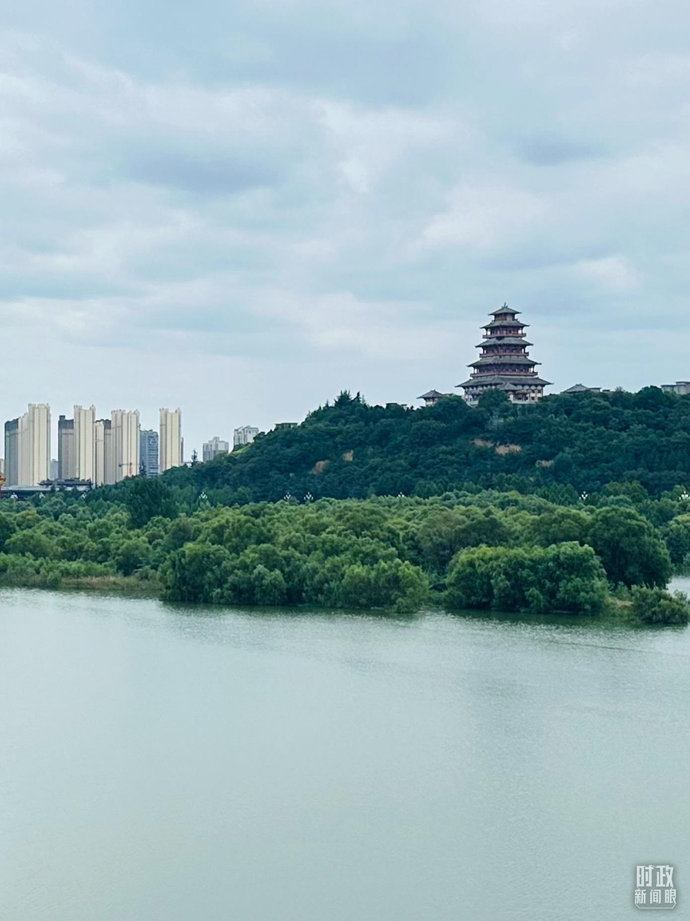 △渭河寶雞段長(zhǎng)224公里，目前建成17處渭河灘區(qū)生態(tài)涵養(yǎng)區(qū)。（總臺(tái)央視記者范一鳴拍攝）