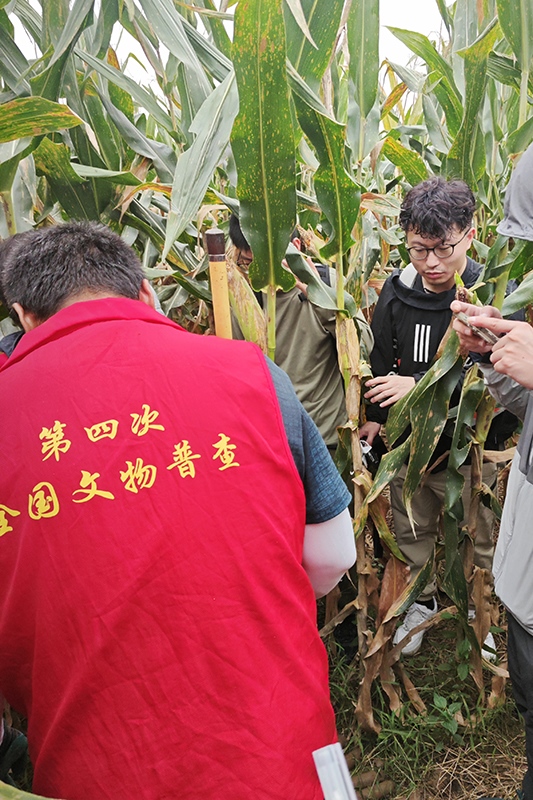 普查隊員正在使用探鏟進行探測。中國文物報供圖