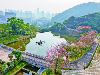 無人機在深圳塘朗山郊野公園里巡檢。新華社發(fā)