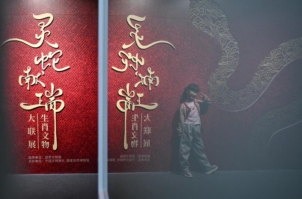 1月18日，一名小朋友在國家自然博物館舉辦的“靈蛇獻瑞——2025乙巳蛇年生肖文物大聯(lián)展”展覽中拍照留念。（新華社記者 陳鐘昊 攝）