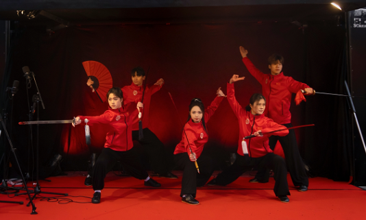 武術(shù)表演。中國駐芬蘭大使館供圖