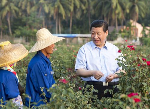 △2013年4月9日，習(xí)近平總書記在海南亞龍灣蘭德玫瑰風(fēng)情產(chǎn)業(yè)園向花農(nóng)了解玫瑰種植管理技術(shù)。