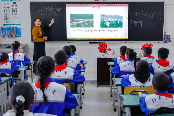 2024年9月27日，在四川省甘孜藏族自治州道孚縣城關(guān)第一完全小學(xué)，采取“藏加模式”教學(xué)的五年級一班的藏語文課上，準(zhǔn)木周老師指導(dǎo)藏族學(xué)生以家鄉(xiāng)草原風(fēng)物為主題寫作藏語文作文。新華社記者 沈伯韓 攝
